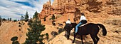 Touristengruppe reitet auf Pferden im Bryce Canyon