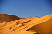 Sanddüne gegen den klaren Himmel im Namib-Naukluft-Nationalpark