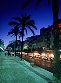 Palmengesäumte Promenade mit Menschen, die in der Abenddämmerung in Restaurants essen