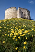 Cliffords Tower in der Nähe der Burg