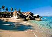 Felsbrocken und Palmen an einem tropischen Strand