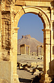 Syrien, Hauptort; Palmyra, Burg und Kolonnadenstraße durch Bogen