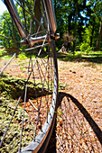 Bicycle In New Forest National Park