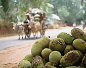 Jackfruit And Ox Cart