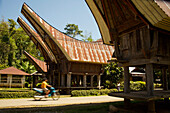 Traditionelle Tongkonan-Häuser und ein Mann am Steuer eines Motorrads
