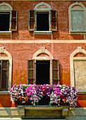 Balkon mit Petunien-Blumenkästen und verschlossenen Fenstern, Nahaufnahme
