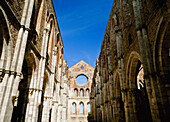 Abbey Of San Galgano