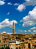 Torre De Mangia und die Skyline von Siena