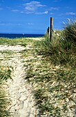 Leerer Pfad durch Sanddünen am Strand