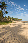 Beach At Resort Of Costa Do Sauipe, Bahia,Brazil
