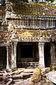 Überwachsener Tempel von Ta Prohm, Angkor, Siem Reap, Kambodscha