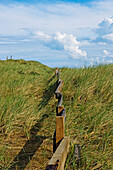 Fence Through Grass Dunes, Jutland,Denmark