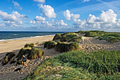 Mann geht mit Hund am Strand spazieren, Blick von oben, Jütland,Dänemark