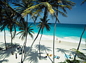 Blick durch Palmen und auf das Meer von der Bottom Bay, Südküste, Barbados.