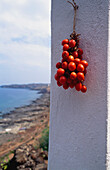 Tomaten,Pantelleria,Italien