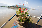 Blumen auf der Vorderseite einer Fähre auf dem Mekong-Fluss, Laos