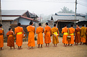 Novizenmönche sammeln am frühen Morgen Almosen im Wat Naluang, Luang Prabang, Nordlaos