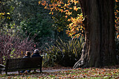 Paar sitzt auf einer Bank im Greenwich Park, London, Großbritannien