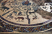 Part Of Mosaics At Roman Ruins, Volubilis,Morocco