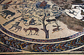 Teil der Mosaiken in den römischen Ruinen, Volubilis, Marokko