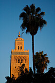 Minarett der Koutoubia-Moschee und Palme, Marrakesch, Marokko