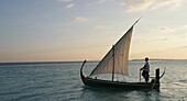 Traditionelles Dhoni-Fischerboot, Soneva Fushi, Nördliches Atoll, Malediven