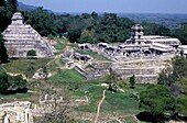 Antike Ruinen von Palenque, Blick von oben, Chiapas, Mexiko