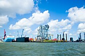Frachtschiffe und Kräne, Hafen von Rotterdam, Niederlande