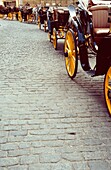 Row Of Horse And Carriages On Brick Road,Seville,Spain