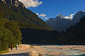 Flussbett der Velika Pisnica mit Bergen im Triglav-Nationalpark, Kranjska Gora, Slowenien