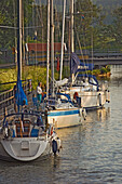 Segelboote vor Anker entlang des Gota-Kanals, Schweden