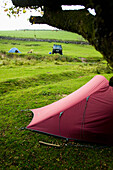 Runnage Farm Camping im Dartmoor National Park, Postbridge, Yelverton, Devon, Großbritannien