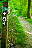 Cycle And Walking Path Sign Post Beside Path, Weybourne,Norfolk,Uk