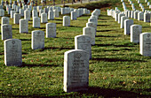 Arlington-Friedhof