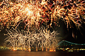 Feuerwerk über dem Hafen