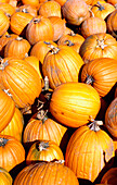 Detail Of Orange Pumpkins