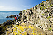 Hiker Along Basalt Rock Cliffs, Bay Of Fundy; Brier Island, Nova Scotia, Canada