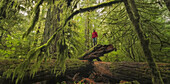 Mann steht auf einem umgefallenen Baumstamm im Cathedral Grove, Macmillan Provincial Park, Vancouver Island; British Columbia, Kanada