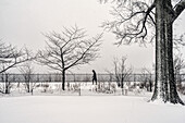 Schneesturm am Jacqueline Kennedy Onassis Reservoir, Central Park; New York City, New York, Vereinigte Staaten von Amerika