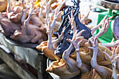 Nahaufnahme von rohen ganzen Hühnern mit Füßen zum Verkauf auf einem Markt; Sa Pa, Vietnam.