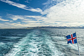 Blick zurück zum Festland von der Fähre zu den Westmännerinseln; Island