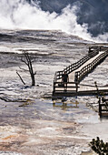 Man walks on boardwalk at Mammoth Hot Springs, Yellowstone National Park; Wyoming, United States of America