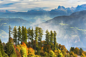 Bunte Bäume im Herbst auf einem Bergrücken mit Blick auf sanfte Berghänge und Berge im Hintergrund, aus dem Tal aufsteigender Nebel; Kalterer, Bozen, Italien.
