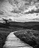 Schwarz-Weiß-Bild einer hölzernen Promenade, die sich über eine Landschaft erstreckt, mit einem Mann in der Ferne; Bonavista, Neufundland und Labrador, Kanada.