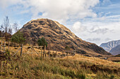 Herbstszene im Glen Etive mit eingezäunten Bäumen im Vordergrund und Bergen dahinter; Schottland.