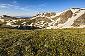 Blick vom Beartooth Highway; Cody, Wyoming, Vereinigte Staaten von Amerika