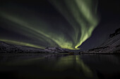Aurora Borealis oder Nordlicht; Djupavik, Westfjorde, Island
