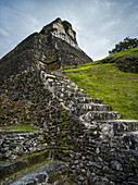 Verwitterte Steintreppen führen zu einem Gebäude in einem Maya-Dorf; San Jose Succotz, Cayo District, Belize.