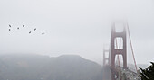 Golden Gate Bridge an einem wolkigen Tag; San Francisco, Kalifornien, Vereinigte Staaten von Amerika.