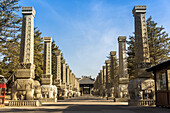 Elefantenbasierte Säulen bei den Yungang-Grotten, alte chinesische buddhistische Tempelgrotten bei Datong; China.